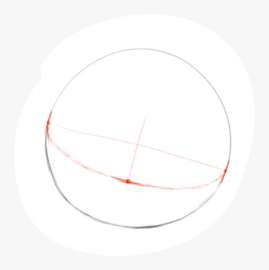 734x736