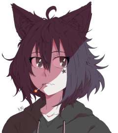 1070x1200