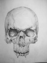 810x1080