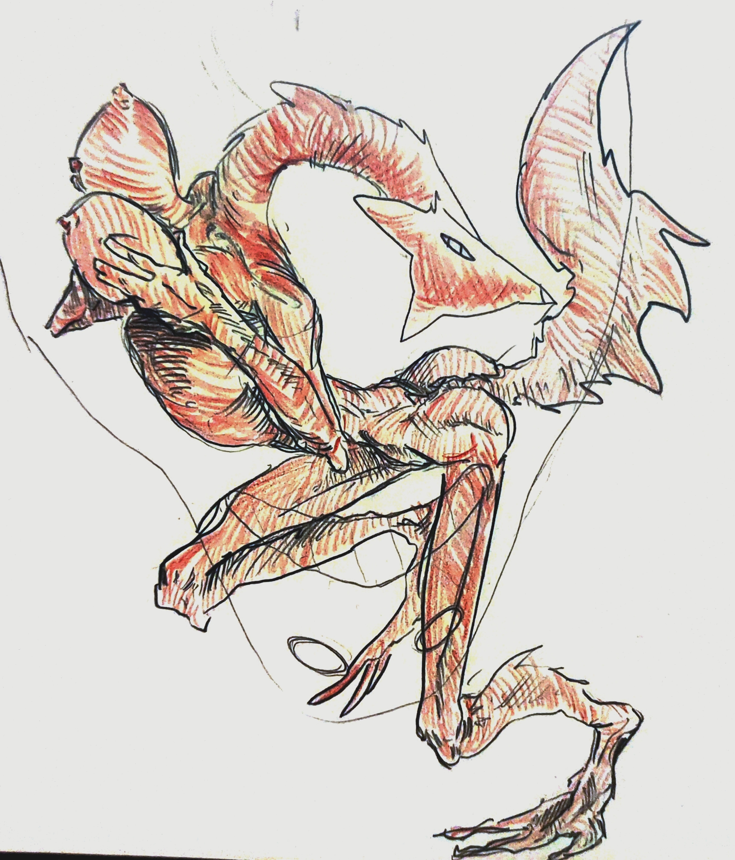2411x2819