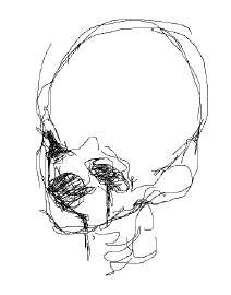 503x640