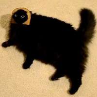 182
