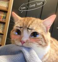 77