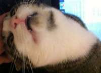 57