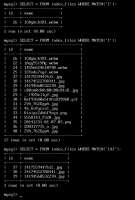 479x706