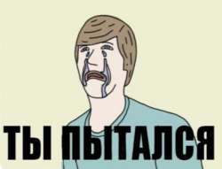 398x305