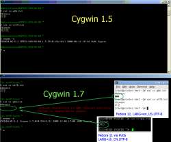 985x820