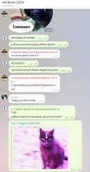 518x983