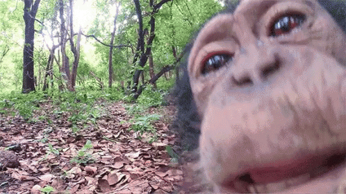 498x280