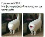807x670