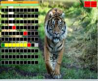 787x655