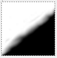 204x206