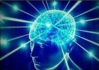 430x309
