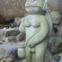 53