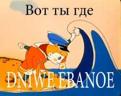 530x420