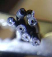 270x296