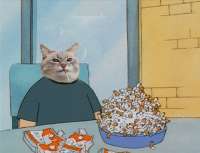 42