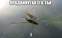 686x425
