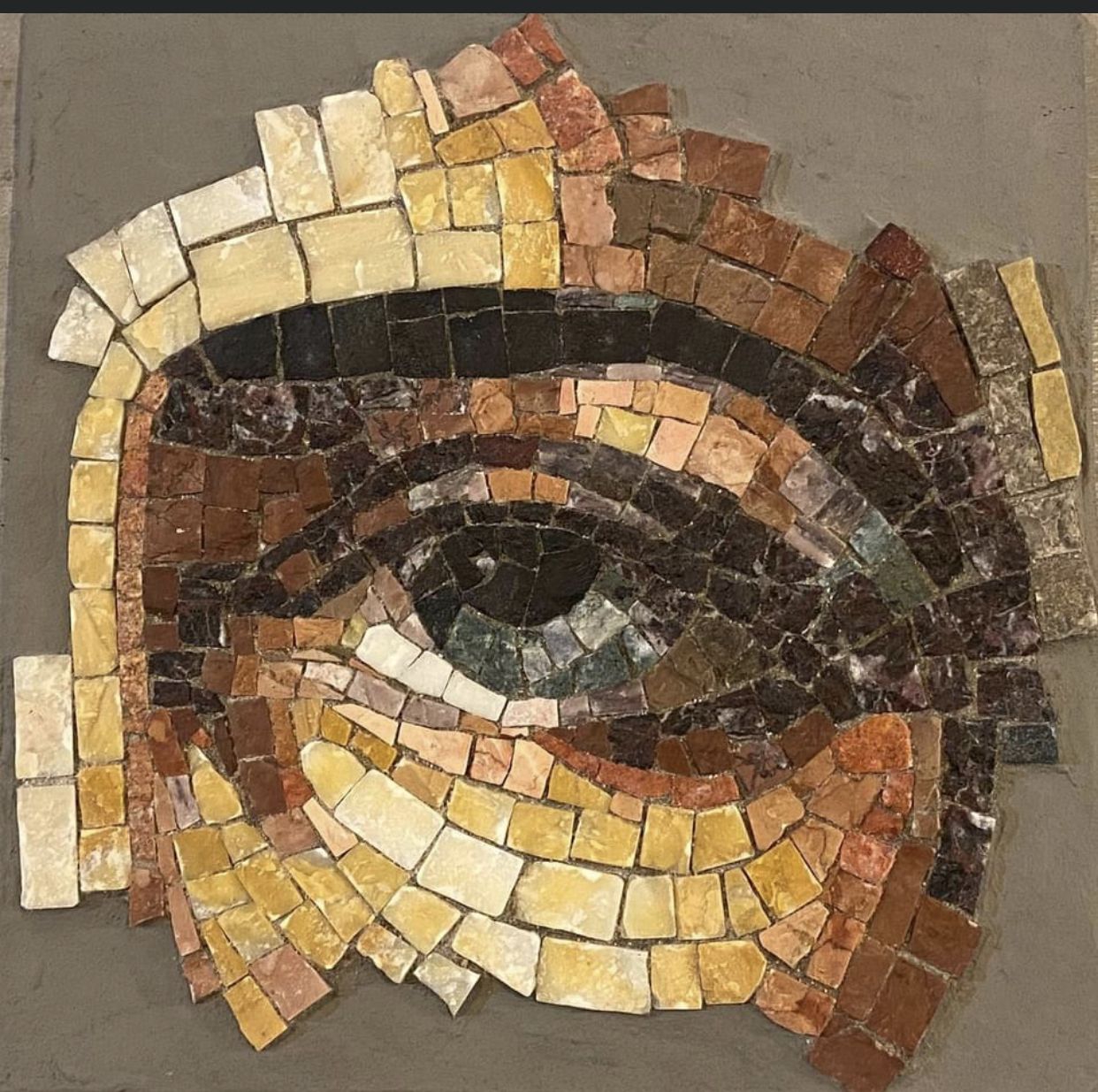 1242x1235