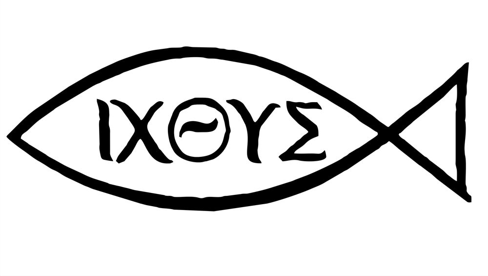 1000x565