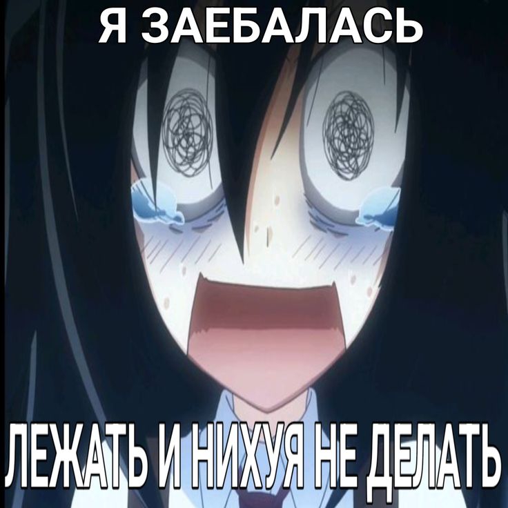 736x736