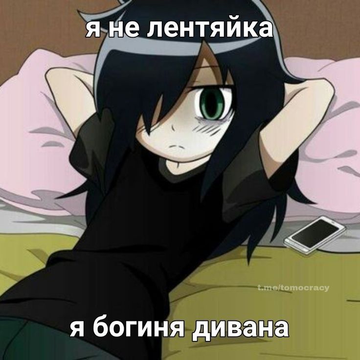 736x736