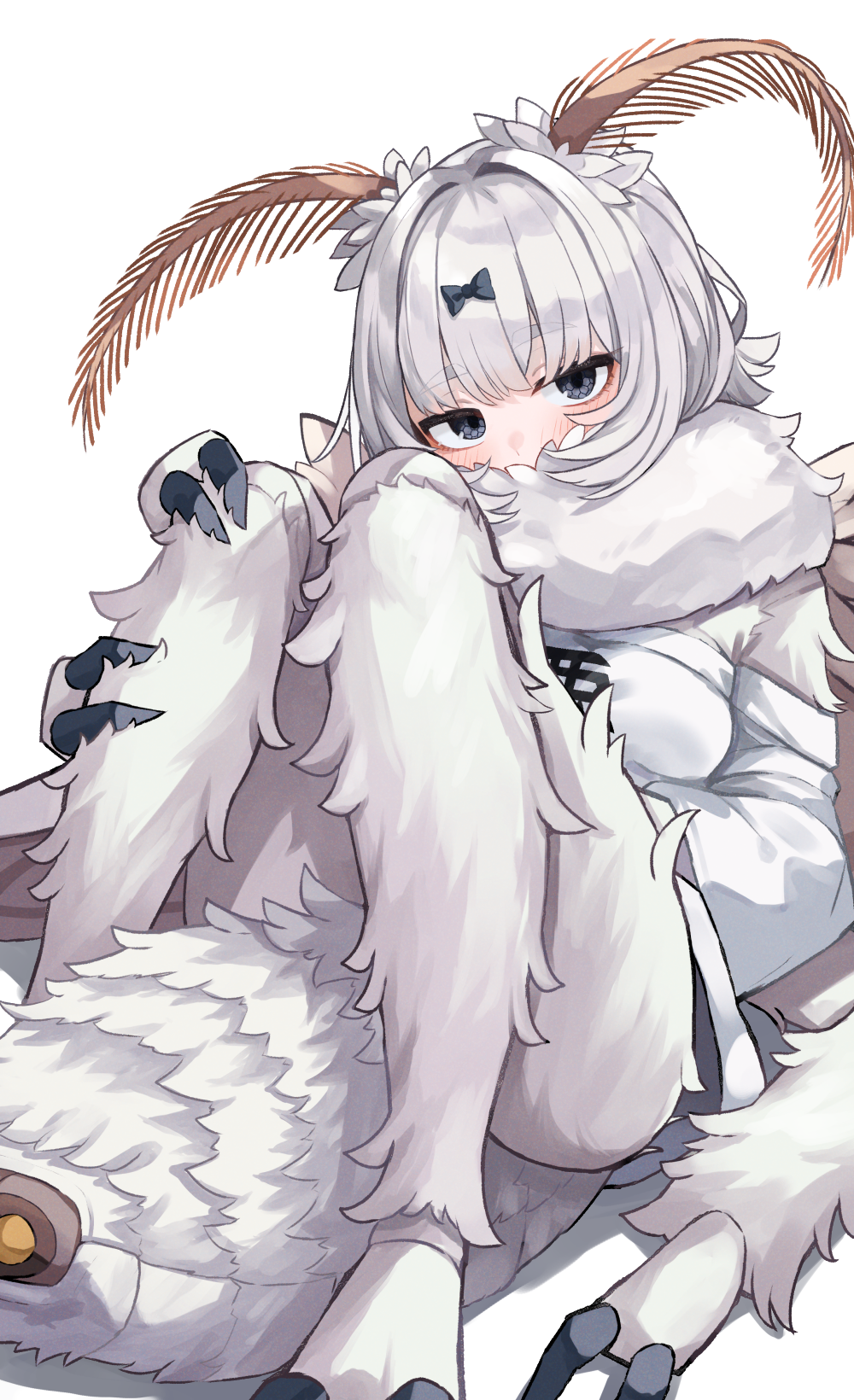 1000x1640