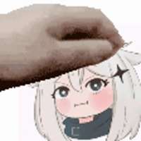 498x498