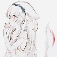 736x736