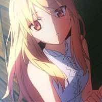 736x736