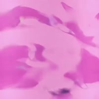720x720