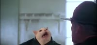 560x261