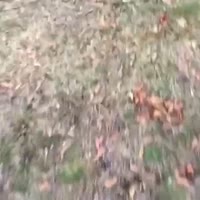 360x360