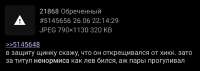 1080x387
