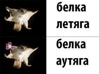 600x450