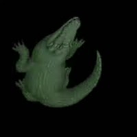 720x720