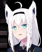 320x395
