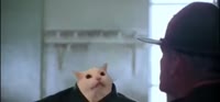560x261