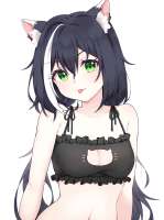 850x1134