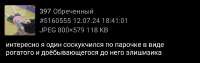 1080x343