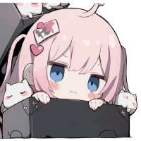 736x736