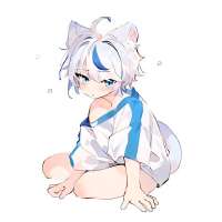 736x736