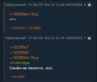 456x388