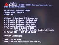 400x310