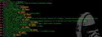 1263x466