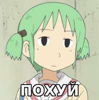 493x494