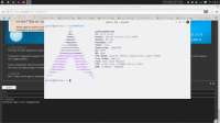 1366x768