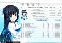 1002x692