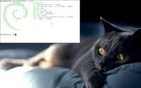 1280x800