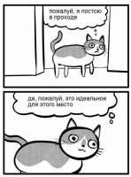519x700